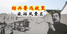 插穴大力中国绍兴-鲁迅故里旅游风景区